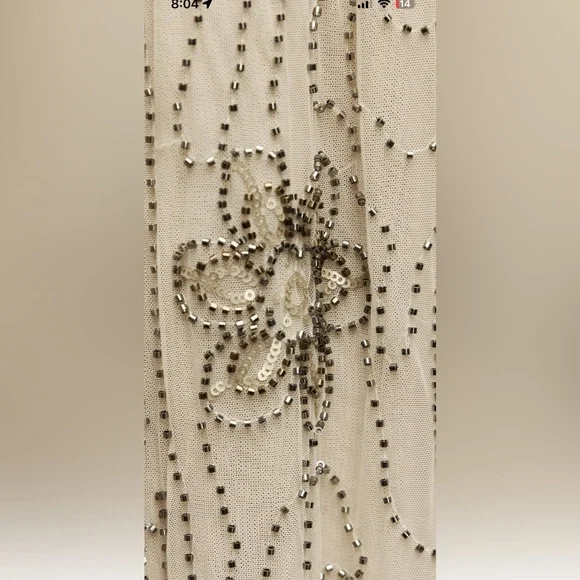 Zara Beaded Tull skirt - Picture 4 of 9